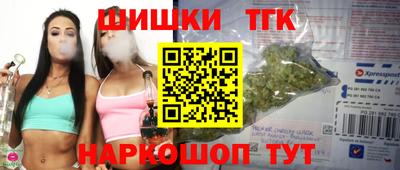 мдпв Татарск