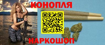 мдпв Татарск