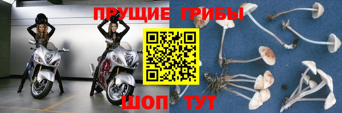 Псилоцибиновые грибы мухоморы  Вход с VPN  Назрань 