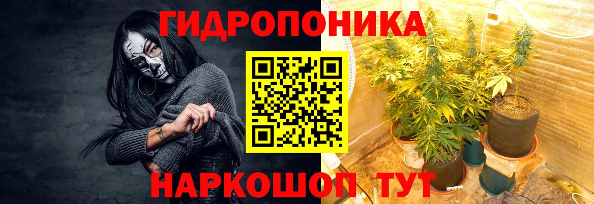 Каннабис MAZAR  Вход с VPN  Бошки марихуана SATIVA & INDICA  Шишки марихуана White Widow  Назрань 